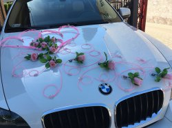 BMW Łapy