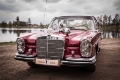 AUTO DO ŚLUBU-Mercedes W108 1966r. ŁÓDZKIE,ŚLĄSKIE,OPOLSKIE Pajęczno
