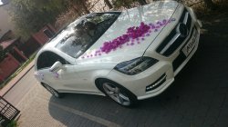 OMEGA Przewozy Autokarowe Warszawa
