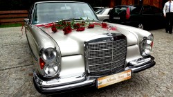 Auto do ślubu zabytkowy Mercedes W108 Szczecin