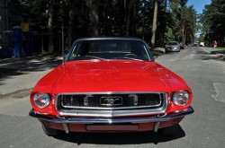 Mustang 1967 Cabrio / Mustang 2014 / Mustang 2012 sam prowadzisz Lublin