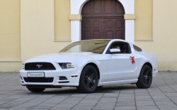 Ford Mustang do Ślubu z 2014r V6 305KM Racibórz