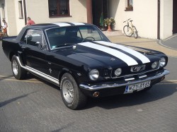 mustang 1966 mszczonów