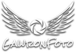 Gawronfoto Wołomin