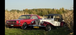 Auto Ślubne - Luksusowe - Zabytkowe - Retro Bielsko-Biała