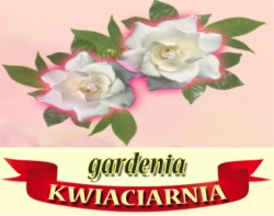 kwiaciarnia Płock