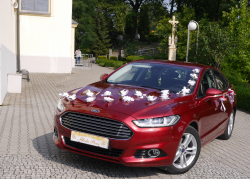 Samochód do ślubu, piękny, komfortowy, elegancki, nowy Ford Mondeo Żory