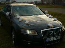 AUDI A6 DO ŚLUBU DĘBICA Dębica