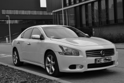 Nissan Maxima 2010 - biała Warszawa