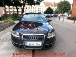 Wyjątkowe Audi A6 Wrocław Wrocław