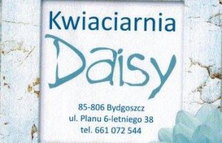 Kwiaciarnia Daisy Bydgoszcz