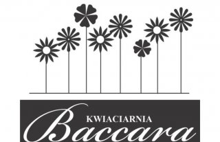 Kwiaciarnia Baccara Czarnków