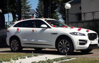 Samochód auto do ślubu na wesele ekskluzywny Jaguar F-Pace Sport Szczucin