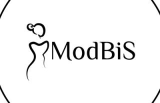 ModBiS.pl Bielsko-Biała