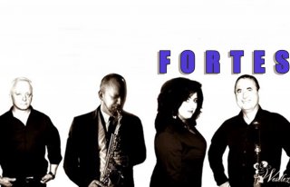 FORTES COVER BAND  Opole