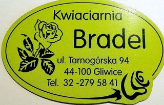 Kwiaciarnia Bradel Gliwice