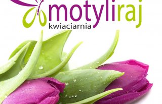 Kwiaciarnia Motyli Raj Kraków