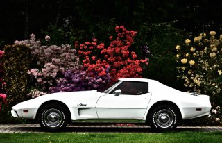 Biała Corvette Skidziń