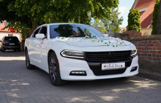 Biały Dodge Charger V6 na ślub Toruń