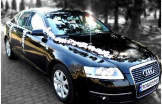 Audi A6 do ślubu DĘBICA/TARNÓW Dębica