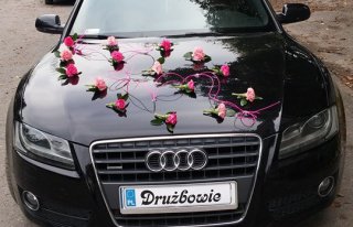 Piękne Audi a5 - dla Vipów Kraków 2015 kraków
