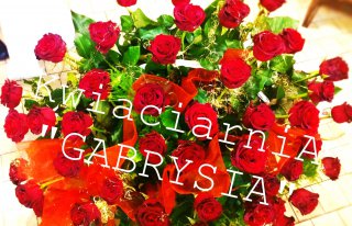 Kwiaciarnia "Gabrysia" Ustka