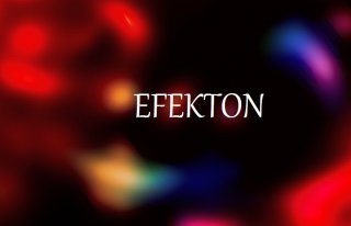 Zespół EFEKTON - łódzkie Poddębice