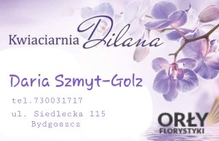 Kwiaciarnia Dilana Bydgoszcz