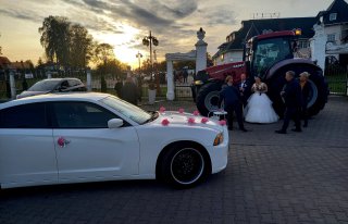 DODGE CHARGER - do ślubu kultowym amerykańskim autem Koszalin