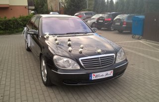Czarna Esa, elegancki szofer, harmonijne ozdoby Gdynia