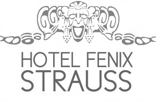 Hotel Fenix Strauss Jelenia Góra