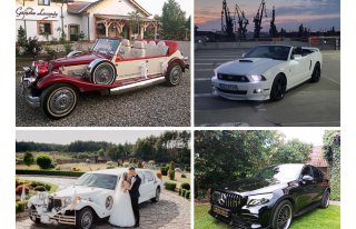 Excalibur, nestor  ford mustang mercedes cabrio  Kościerzyna