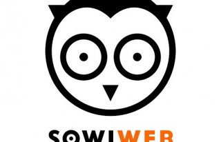 SowiWeb -Owl You Need Kudowa-Zdrój
