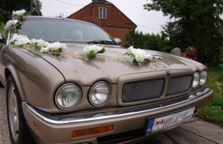 Jaguar do ślubu Busko-Zdrój