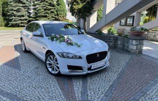 Jaguar XF do slubu Kraków