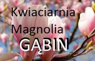Kwiaciarnia Magnolia Gabin