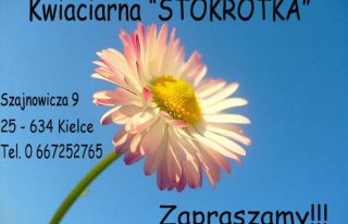 Kwiaciarnia "Stokrotka" Kielce Kielce