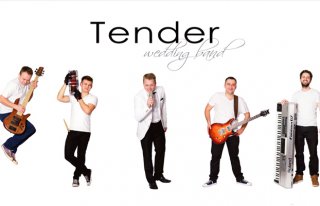 Zespół Tender Band Dębica