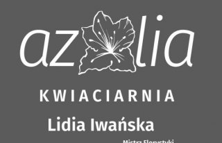 Azalia" Kwiaciarnia Lidia Iwańska - Mistrz Florystyki Kleczew