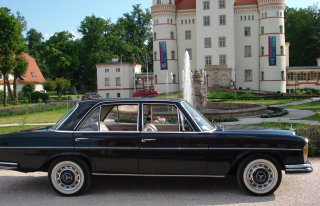 Auto do ślubu Mercedes retro Gryfów Śląski