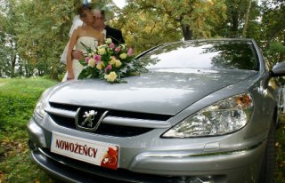 PEUGEOT 607 Koło