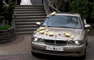 Luksusowy Jaguar do ślubu Dębica