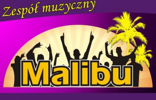 Zespół MALIBU z Łowicza Łowicz