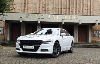 Biały Dodge Charger V6 na ślub Toruń