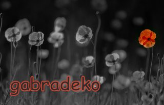 GABRADEKO - Kwiaciernia Dekoracje Ostrowiec Świętokrzyski