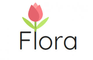 Kwiaciarnia Flora-studio.pl - Zabrze, Mikulczyce Zabrze