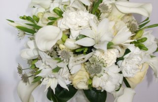 etc...kwiaty i wnetrza Agnieszka Wachnik Sochaczew