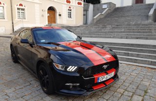 Piękny Ford Mustang na Ślub Opole Opole