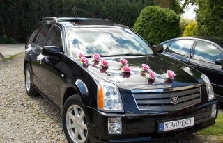 Luksusowy Cadillac do ślubu Września, Poznań 