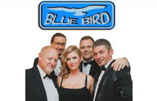 BLUE BIRD Bydgoszcz